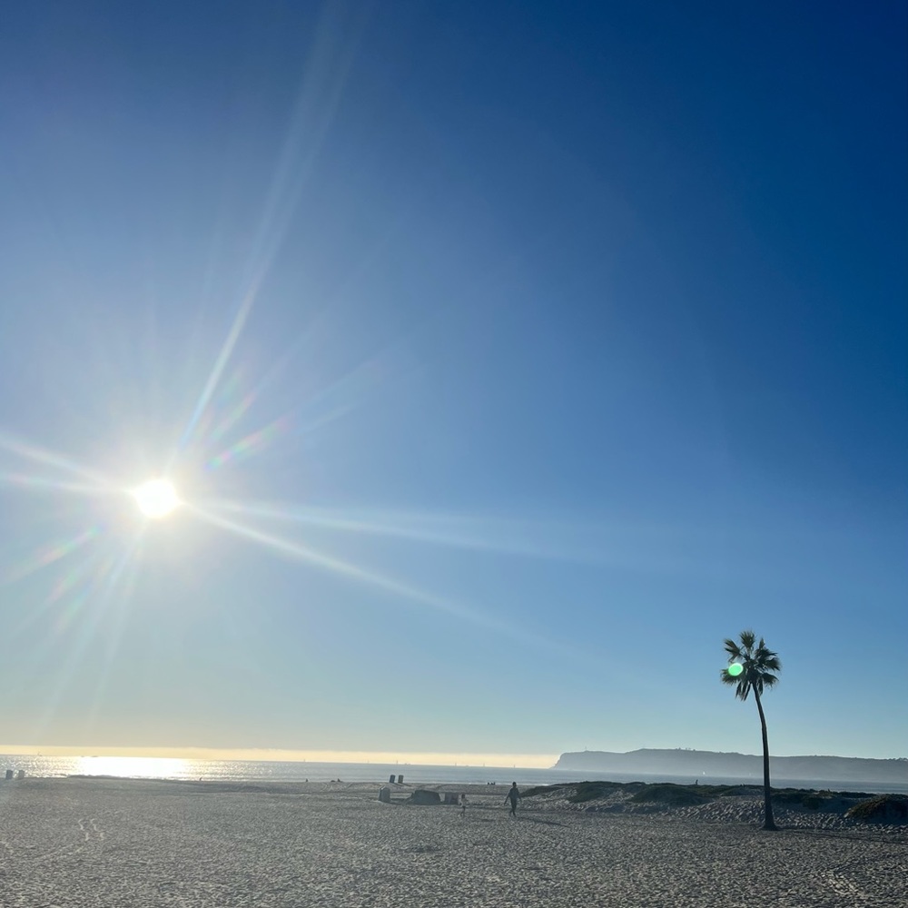 Meet your Posher, Mackenzie